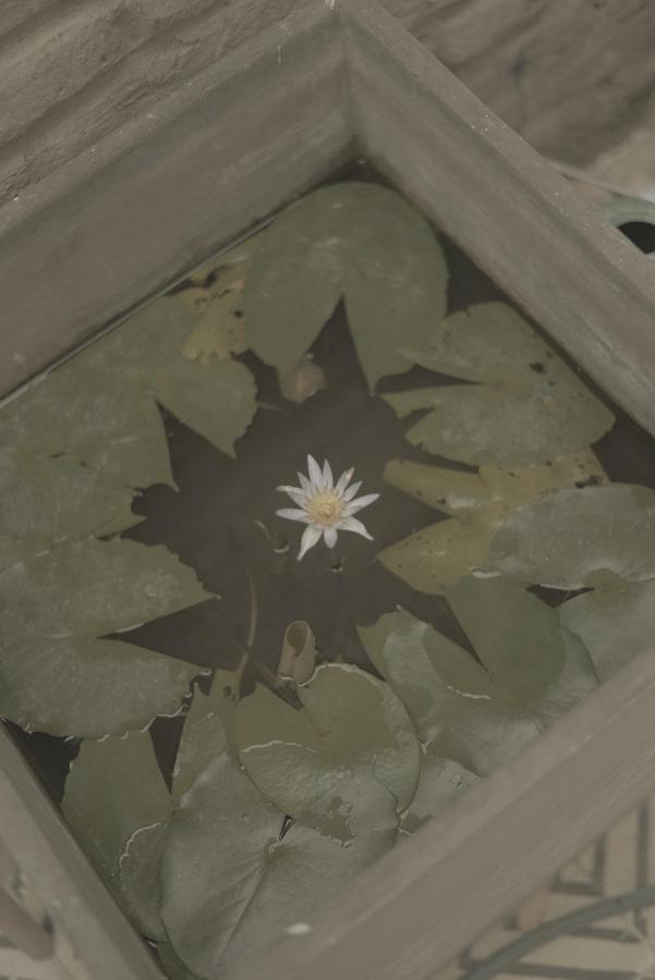 La Casa Del Totumo 호텔 산타마르타 외부 사진